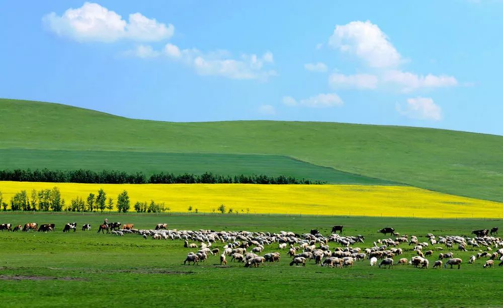 内蒙古，大美草原之旅